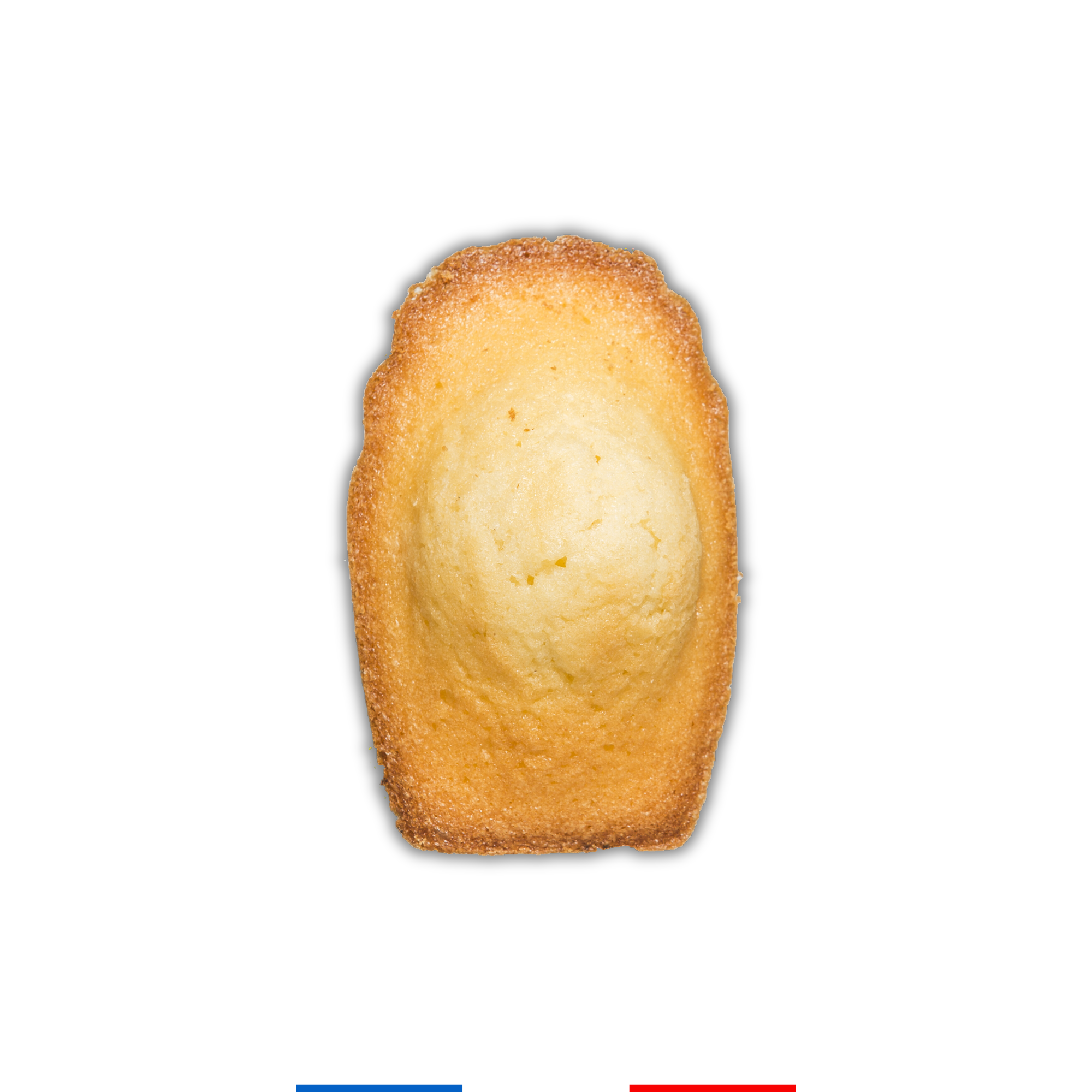 Giant Madeleines - 6 pieces